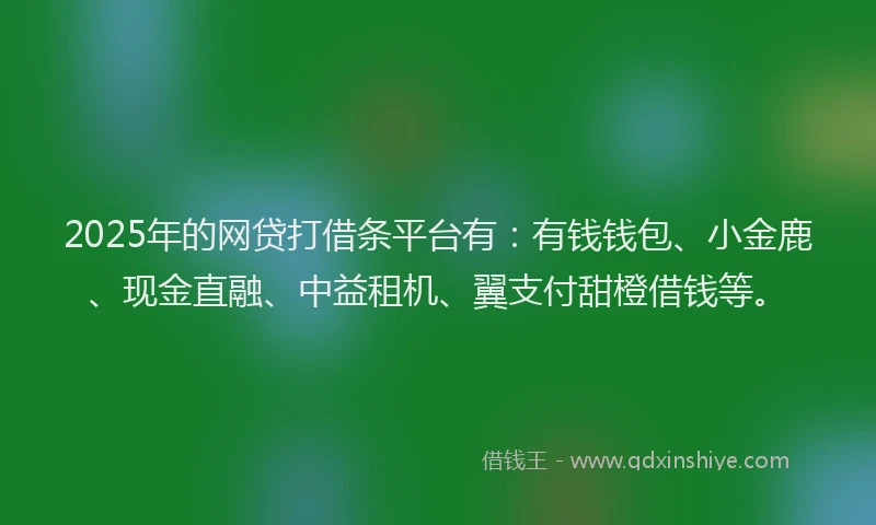 2025年的网贷打借条平台有：有钱钱包、小金鹿、现金直融、中益租机、翼支付甜橙借钱等。