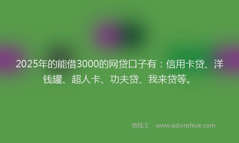 2025年的能借3000的网贷口子有：信用卡贷、洋钱罐、超人卡、功夫贷、我来贷等。