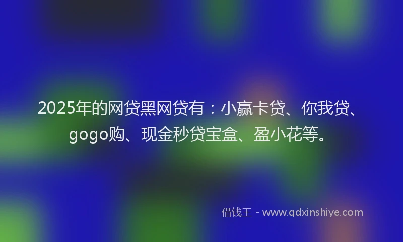 2025年的网贷黑网贷有：小赢卡贷、你我贷、gogo购、现金秒贷宝盒、盈小花等。