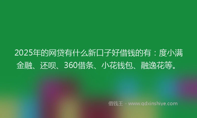 2025年的网贷有什么新口子好借钱的有：度小满金融、还呗、360借条、小花钱包、融逸花等。