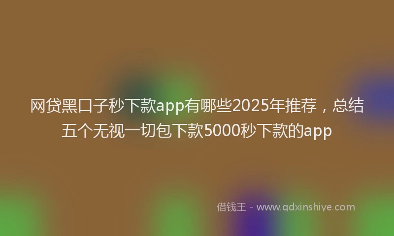 网贷黑口子秒下款app有哪些2025年推荐，总结五个无视一切包下款5000秒下款的app