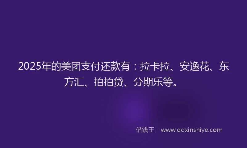 2025年的美团支付还款有：拉卡拉、安逸花、东方汇、拍拍贷、分期乐等。