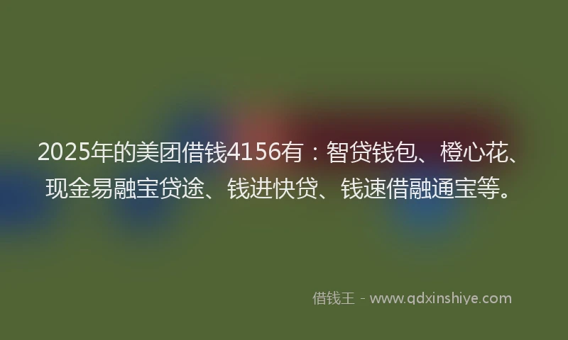 2025年的美团借钱4156有：智贷钱包、橙心花、现金易融宝贷途、钱进快贷、钱速借融通宝等。