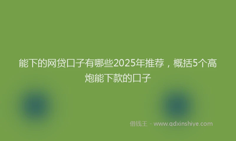 能下的网贷口子有哪些2025年推荐，概括5个高炮能下款的口子