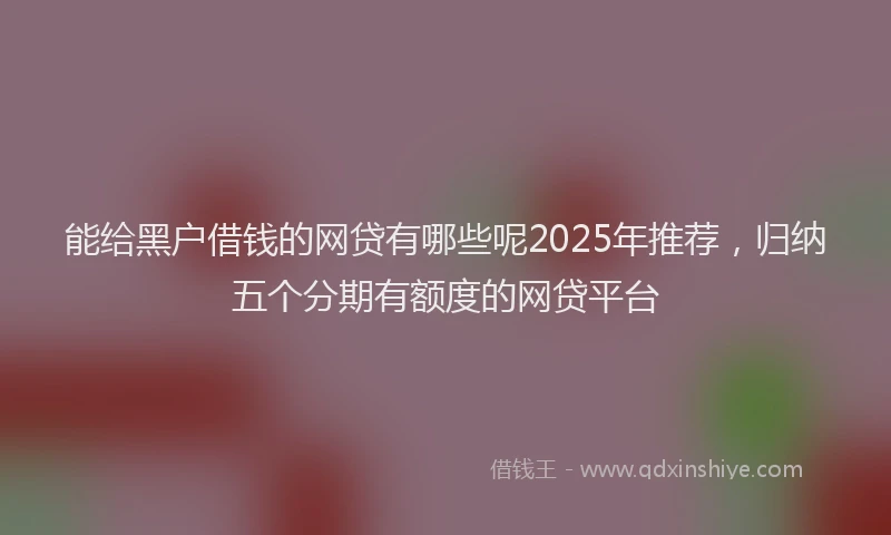 能给黑户借钱的网贷有哪些呢2025年推荐，归纳五个分期有额度的网贷平台