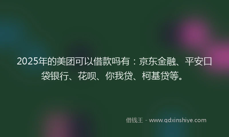 2025年的美团可以借款吗有：京东金融、平安口袋银行、花呗、你我贷、柯基贷等。