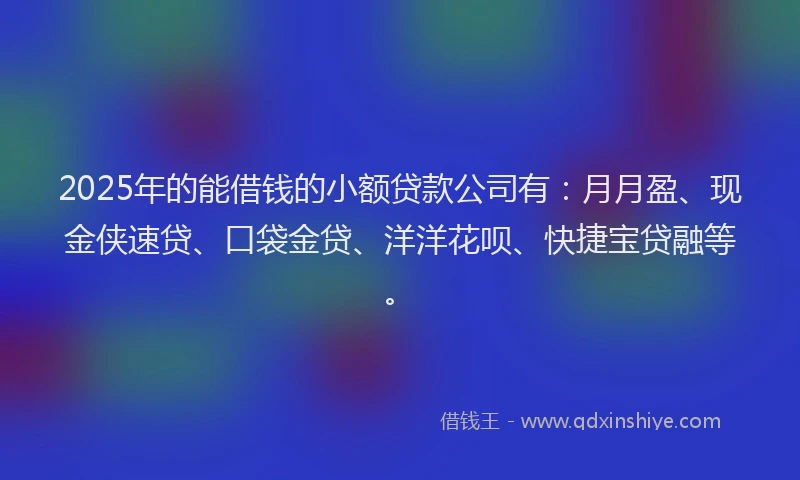 2025年的能借钱的小额贷款公司有：月月盈、现金侠速贷、口袋金贷、洋洋花呗、快捷宝贷融等。