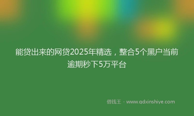 能贷出来的网贷2025年精选，整合5个黑户当前逾期秒下5万平台