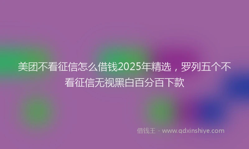 美团不看征信怎么借钱2025年精选，罗列五个不看征信无视黑白百分百下款