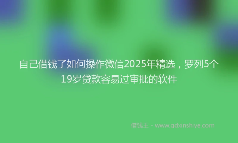 自己借钱了如何操作微信2025年精选，罗列5个19岁贷款容易过审批的软件