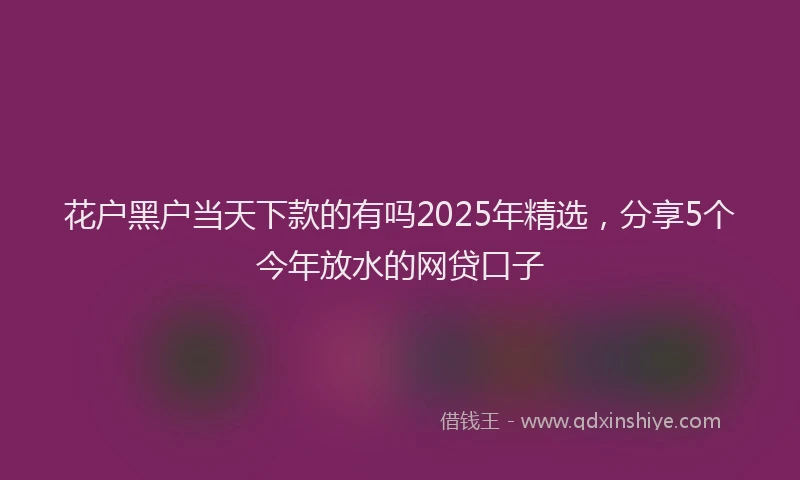 花户黑户当天下款的有吗2025年精选，分享5个今年放水的网贷口子