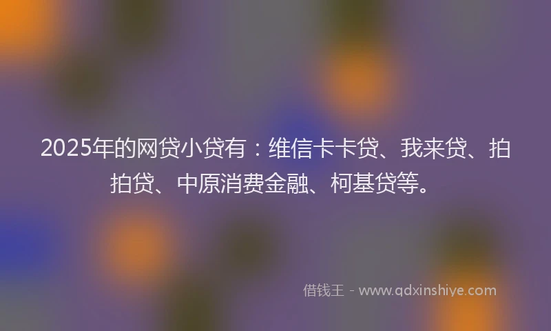 2025年的网贷小贷有：维信卡卡贷、我来贷、拍拍贷、中原消费金融、柯基贷等。