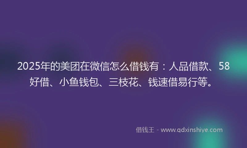 2025年的美团在微信怎么借钱有：人品借款、58好借、小鱼钱包、三枝花、钱速借易行等。