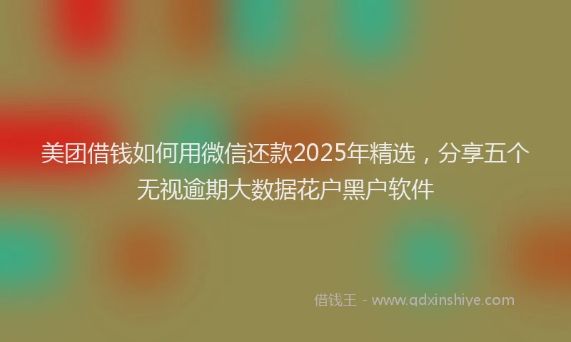 美团借钱如何用微信还款2025年精选，分享五个无视逾期大数据花户黑户软件