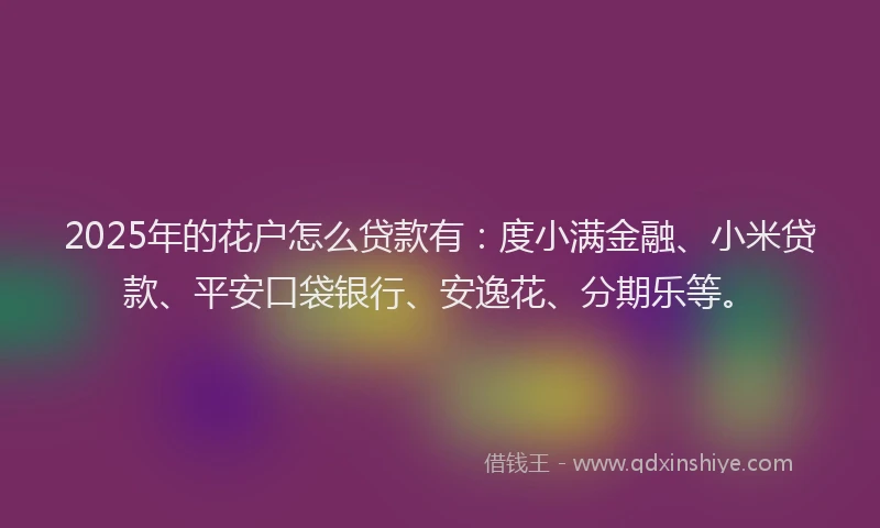 2025年的花户怎么贷款有：度小满金融、小米贷款、平安口袋银行、安逸花、分期乐等。