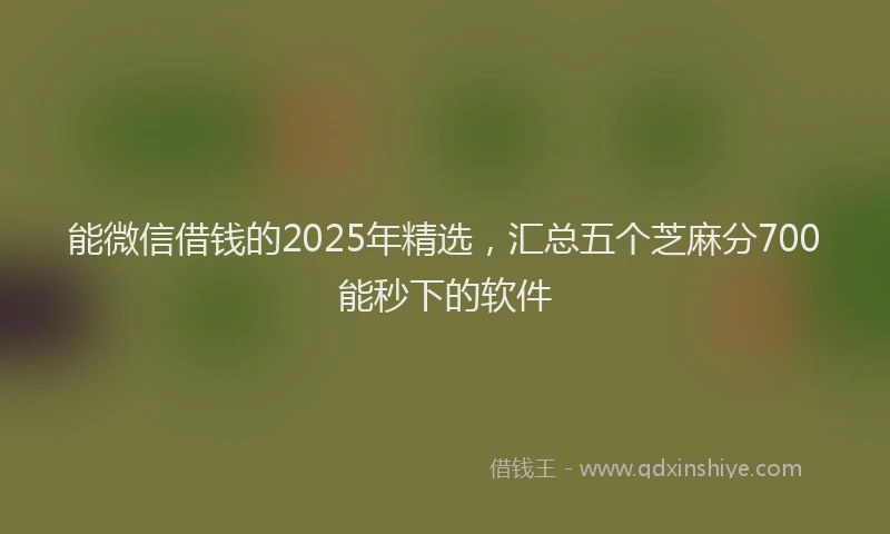 能微信借钱的2025年精选，汇总五个芝麻分700能秒下的软件