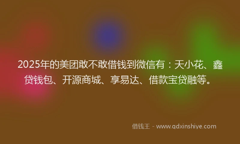 2025年的美团敢不敢借钱到微信有：天小花、鑫贷钱包、开源商城、享易达、借款宝贷融等。