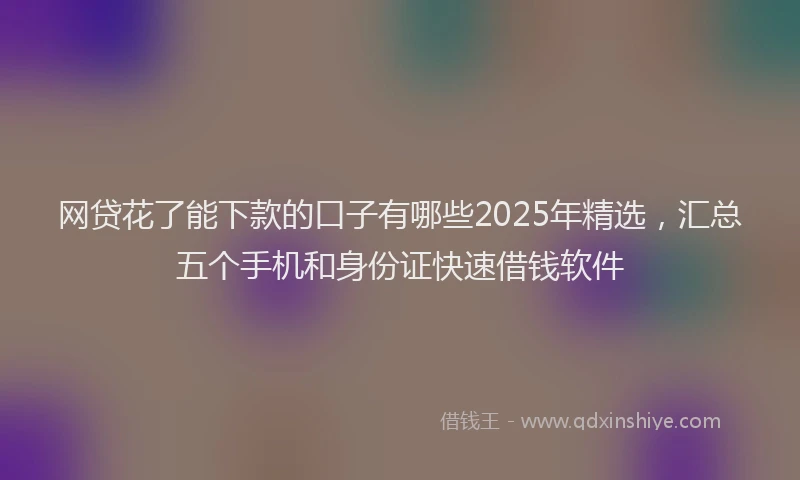 网贷花了能下款的口子有哪些2025年精选，汇总五个手机和身份证快速借钱软件