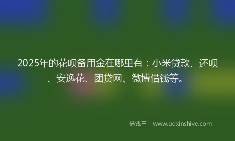 2025年的花呗备用金在哪里有：小米贷款、还呗、安逸花、团贷网、微博借钱等。