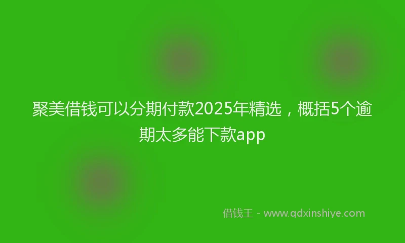 聚美借钱可以分期付款2025年精选，概括5个逾期太多能下款app