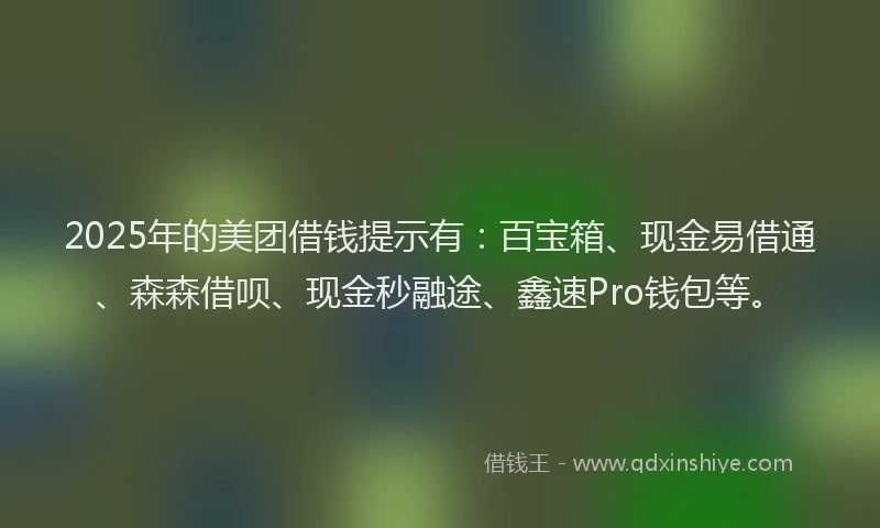 2025年的美团借钱提示有：百宝箱、现金易借通、森森借呗、现金秒融途、鑫速Pro钱包等。