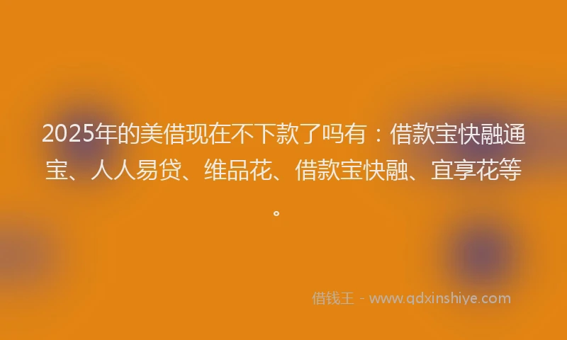 2025年的美借现在不下款了吗有：借款宝快融通宝、人人易贷、维品花、借款宝快融、宜享花等。