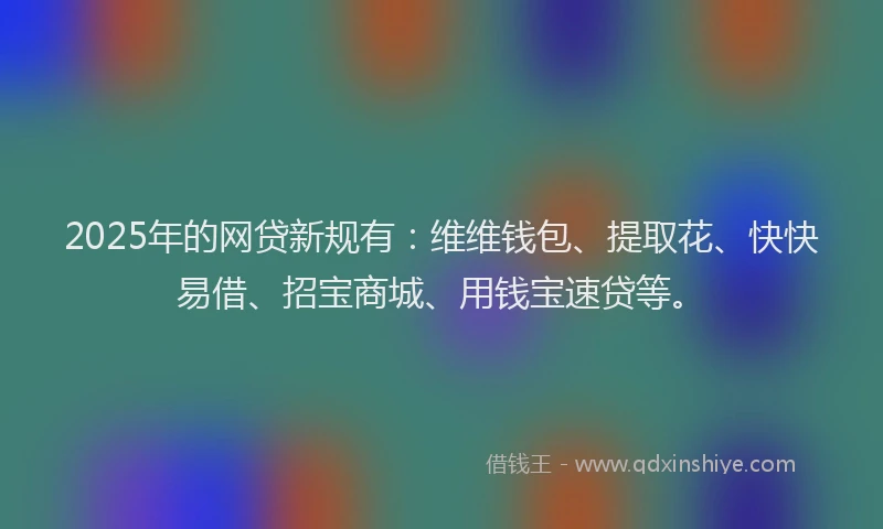 2025年的网贷新规有：维维钱包、提取花、快快易借、招宝商城、用钱宝速贷等。