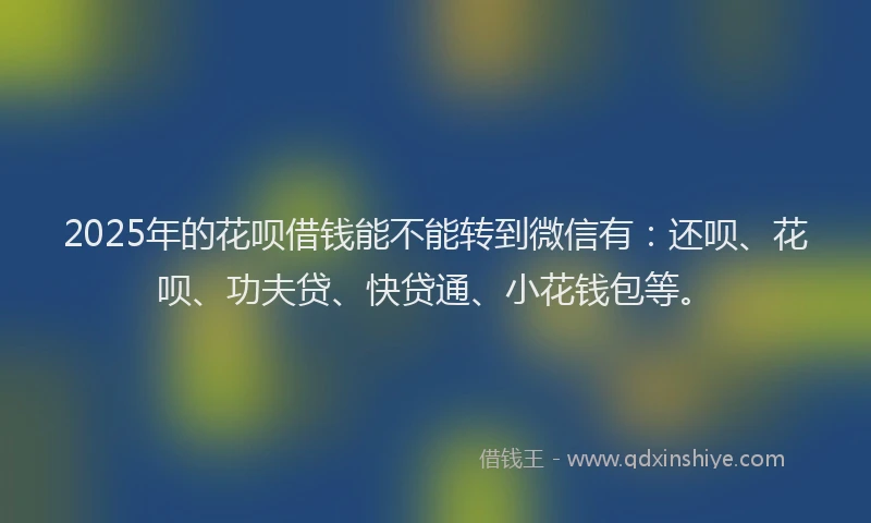 2025年的花呗借钱能不能转到微信有：还呗、花呗、功夫贷、快贷通、小花钱包等。