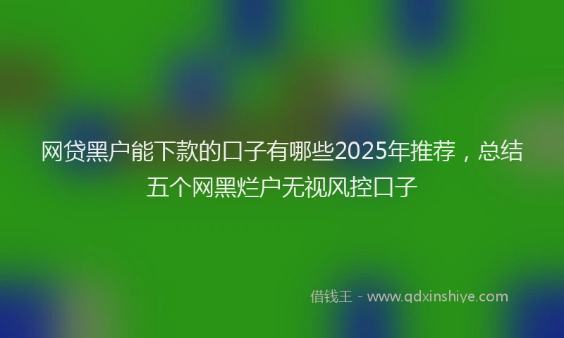 网贷黑户能下款的口子有哪些2025年推荐，总结五个网黑烂户无视风控口子