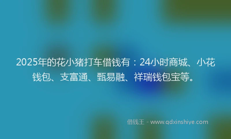 2025年的花小猪打车借钱有：24小时商城、小花钱包、支富通、甄易融、祥瑞钱包宝等。