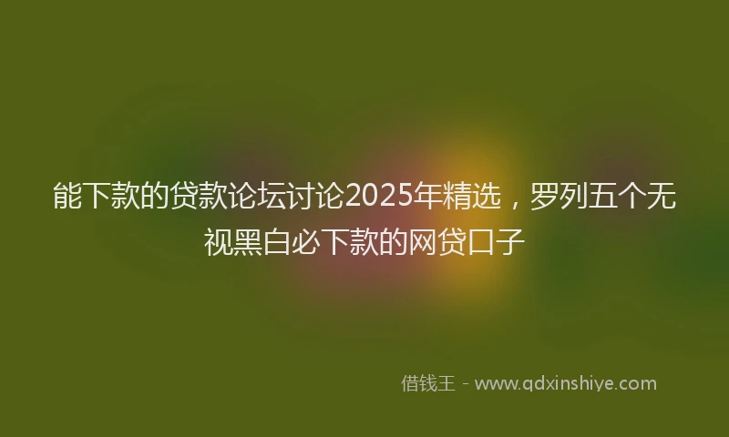 能下款的贷款论坛讨论2025年精选，罗列五个无视黑白必下款的网贷口子