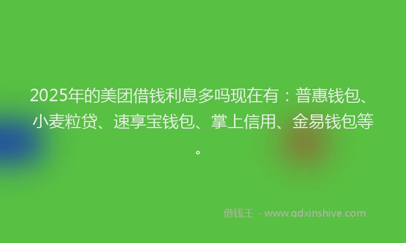 2025年的美团借钱利息多吗现在有：普惠钱包、小麦粒贷、速享宝钱包、掌上信用、金易钱包等。