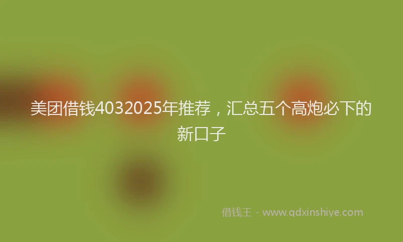 美团借钱4032025年推荐，汇总五个高炮必下的新口子