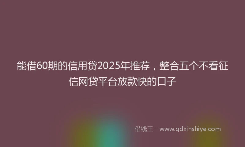 能借60期的信用贷2025年推荐，整合五个不看征信网贷平台放款快的口子