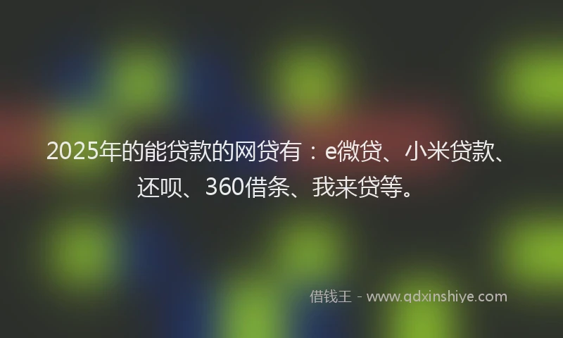 2025年的能贷款的网贷有：e微贷、小米贷款、还呗、360借条、我来贷等。
