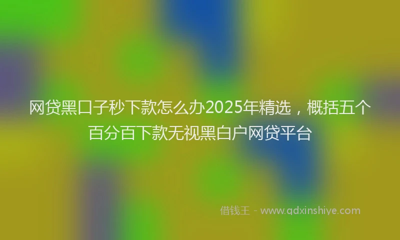 网贷黑口子秒下款怎么办2025年精选，概括五个百分百下款无视黑白户网贷平台