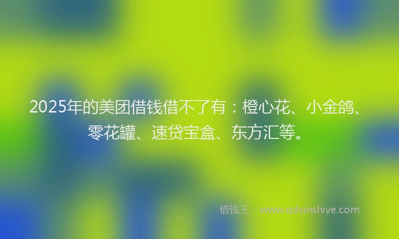 2025年的美团借钱借不了有：橙心花、小金鸽、零花罐、速贷宝盒、东方汇等。