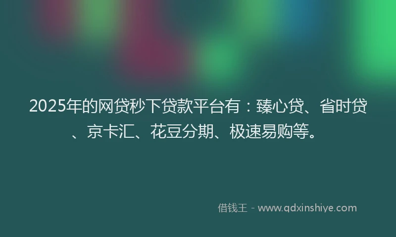 2025年的网贷秒下贷款平台有：臻心贷、省时贷、京卡汇、花豆分期、极速易购等。