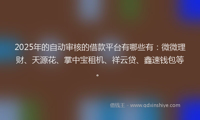 2025年的自动审核的借款平台有哪些有：微微理财、天源花、掌中宝租机、祥云贷、鑫速钱包等。