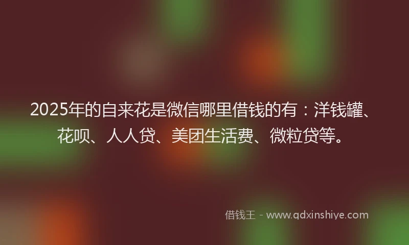 2025年的自来花是微信哪里借钱的有：洋钱罐、花呗、人人贷、美团生活费、微粒贷等。