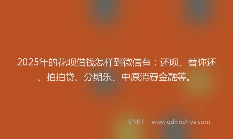 2025年的花呗借钱怎样到微信有：还呗、替你还、拍拍贷、分期乐、中原消费金融等。