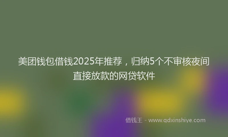 美团钱包借钱2025年推荐，归纳5个不审核夜间直接放款的网贷软件
