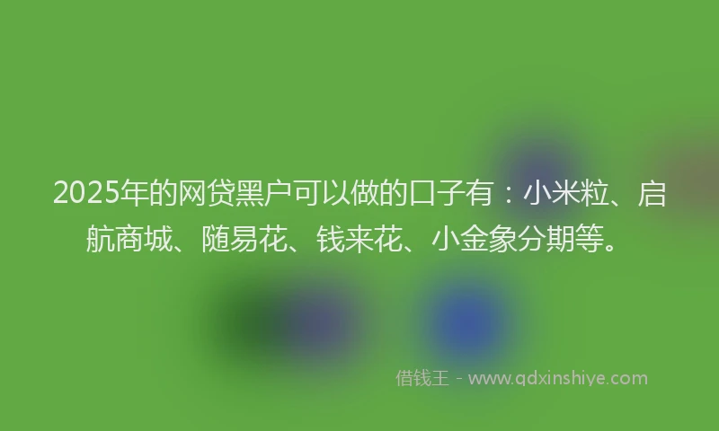 2025年的网贷黑户可以做的口子有：小米粒、启航商城、随易花、钱来花、小金象分期等。