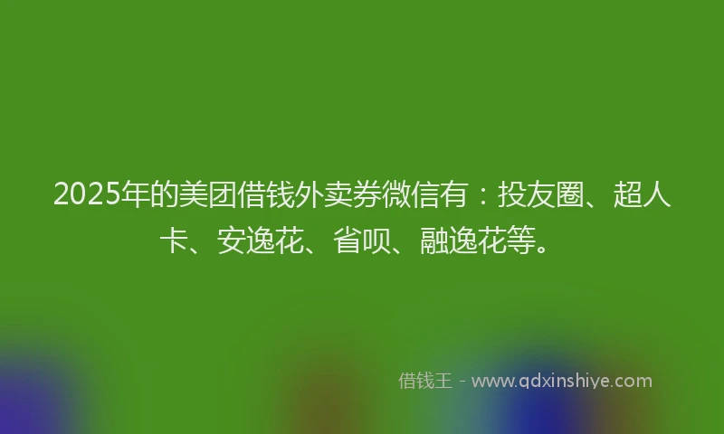2025年的美团借钱外卖券微信有：投友圈、超人卡、安逸花、省呗、融逸花等。