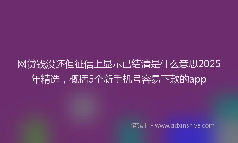 网贷钱没还但征信上显示已结清是什么意思2025年精选，概括5个新手机号容易下款的app