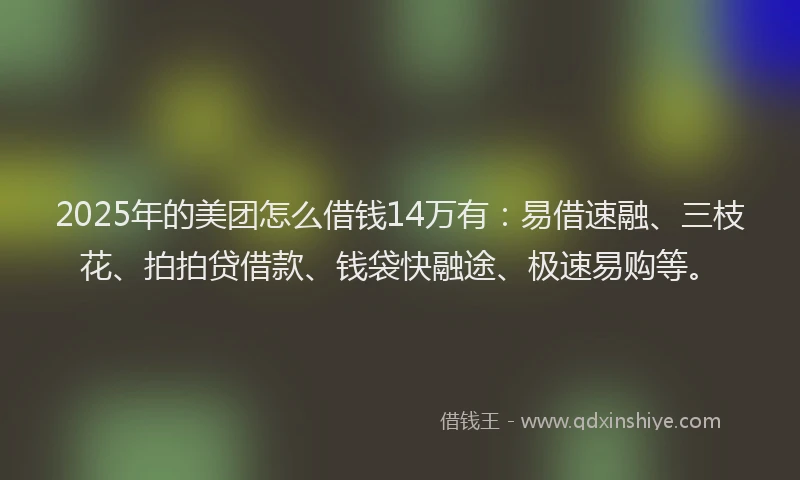 2025年的美团怎么借钱14万有：易借速融、三枝花、拍拍贷借款、钱袋快融途、极速易购等。