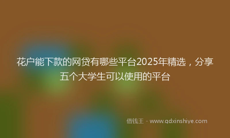 花户能下款的网贷有哪些平台2025年精选，分享五个大学生可以使用的平台