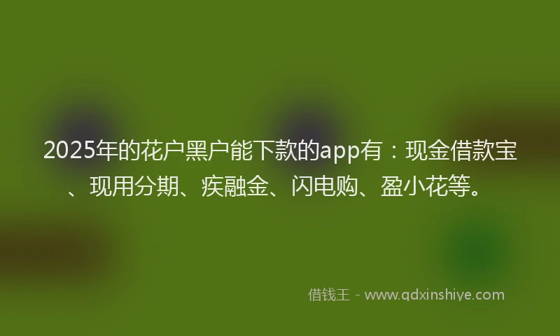 2025年的花户黑户能下款的app有：现金借款宝、现用分期、疾融金、闪电购、盈小花等。
