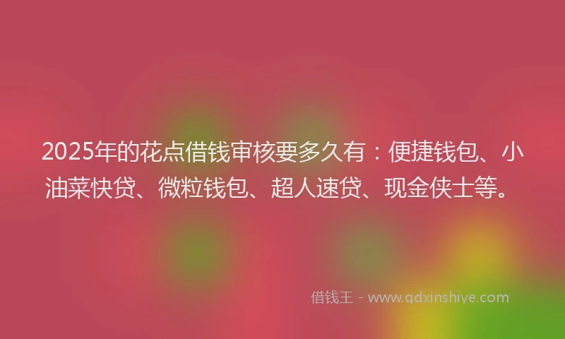 2025年的花点借钱审核要多久有：便捷钱包、小油菜快贷、微粒钱包、超人速贷、现金侠士等。