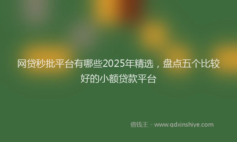 网贷秒批平台有哪些2025年精选，盘点五个比较好的小额贷款平台